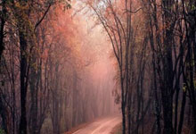 应用服务端口怎么开启权限,应用服务器设置在哪